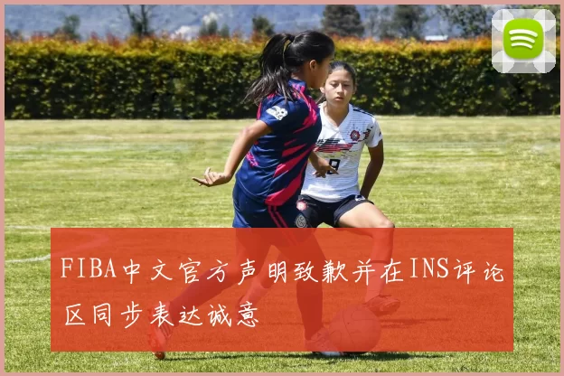 FIBA中文官方声明致歉并在INS评论区同步表达诚意