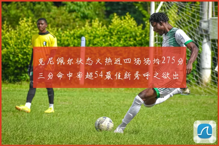 克尼佩尔状态火热近四场场均275分三分命中率超54最佳新秀呼之欲出