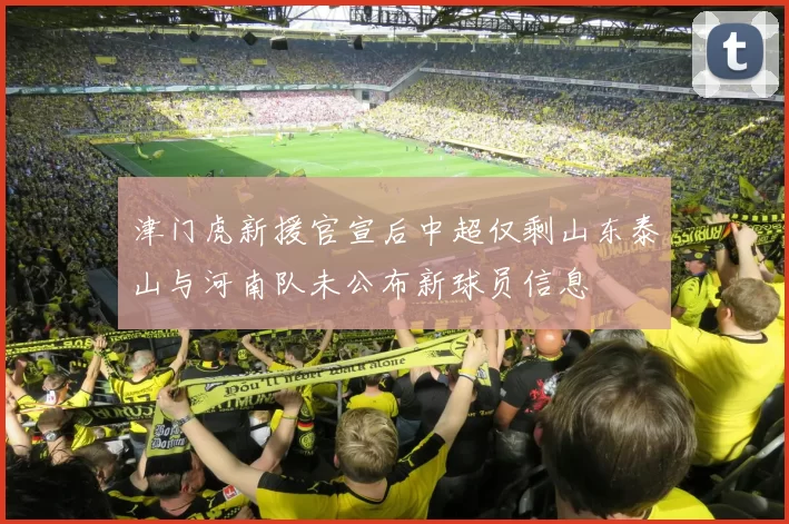 津门虎新援官宣后中超仅剩山东泰山与河南队未公布新球员信息